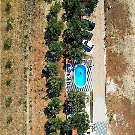 Olea 4*